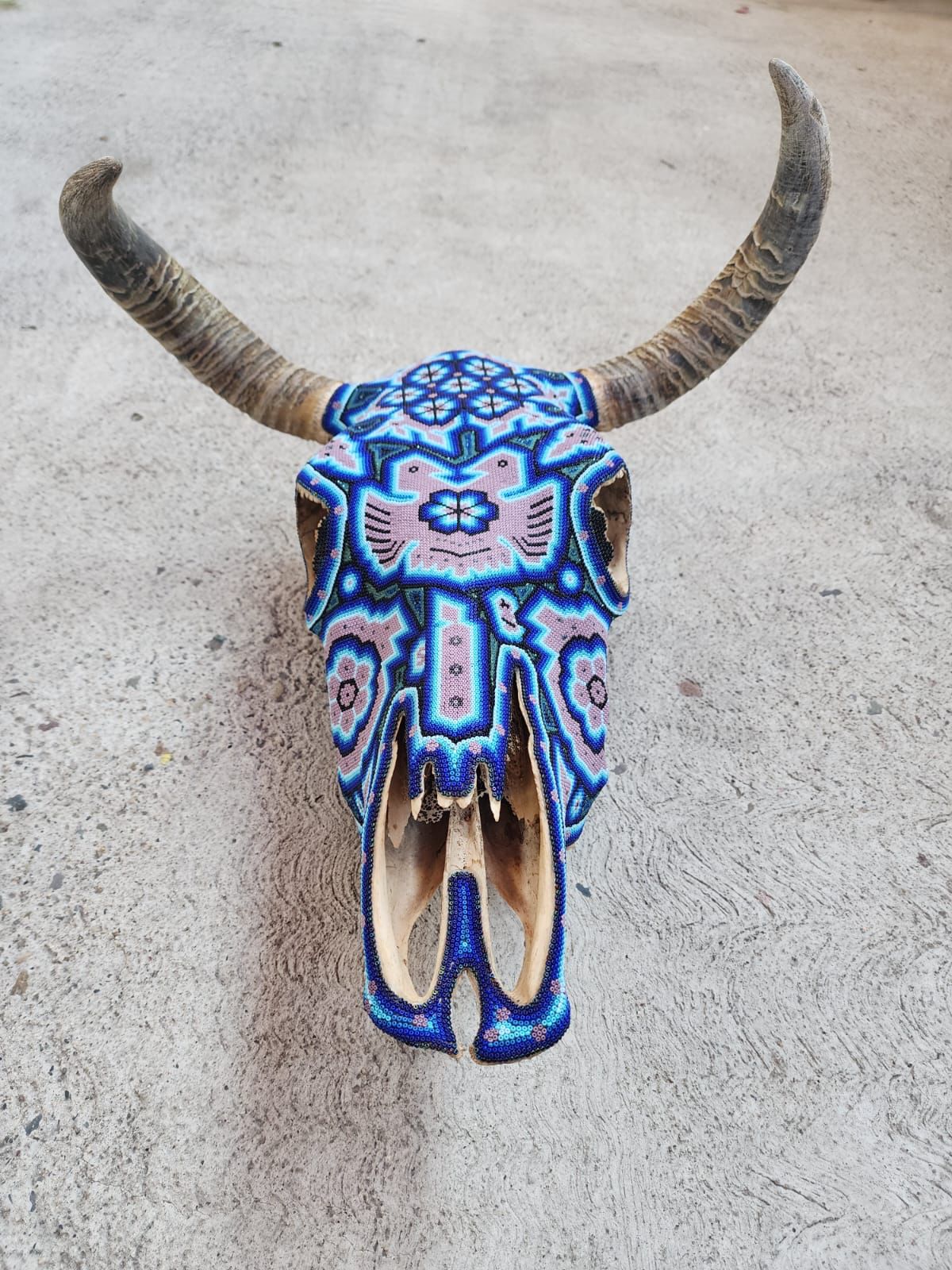 Huichol Bead Art Mexican Folk Art, Bull Skull By Mayola Villa Lopez PP7830