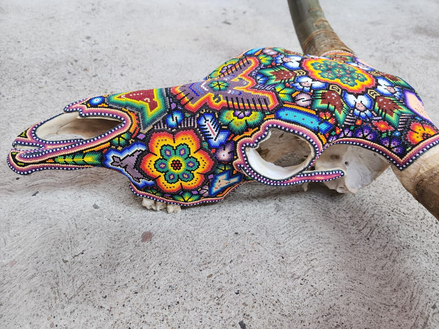 Hand Beaded Huichol Mexican Folk Art Bull Skull, By Isandro Villa Lopez PP7831
