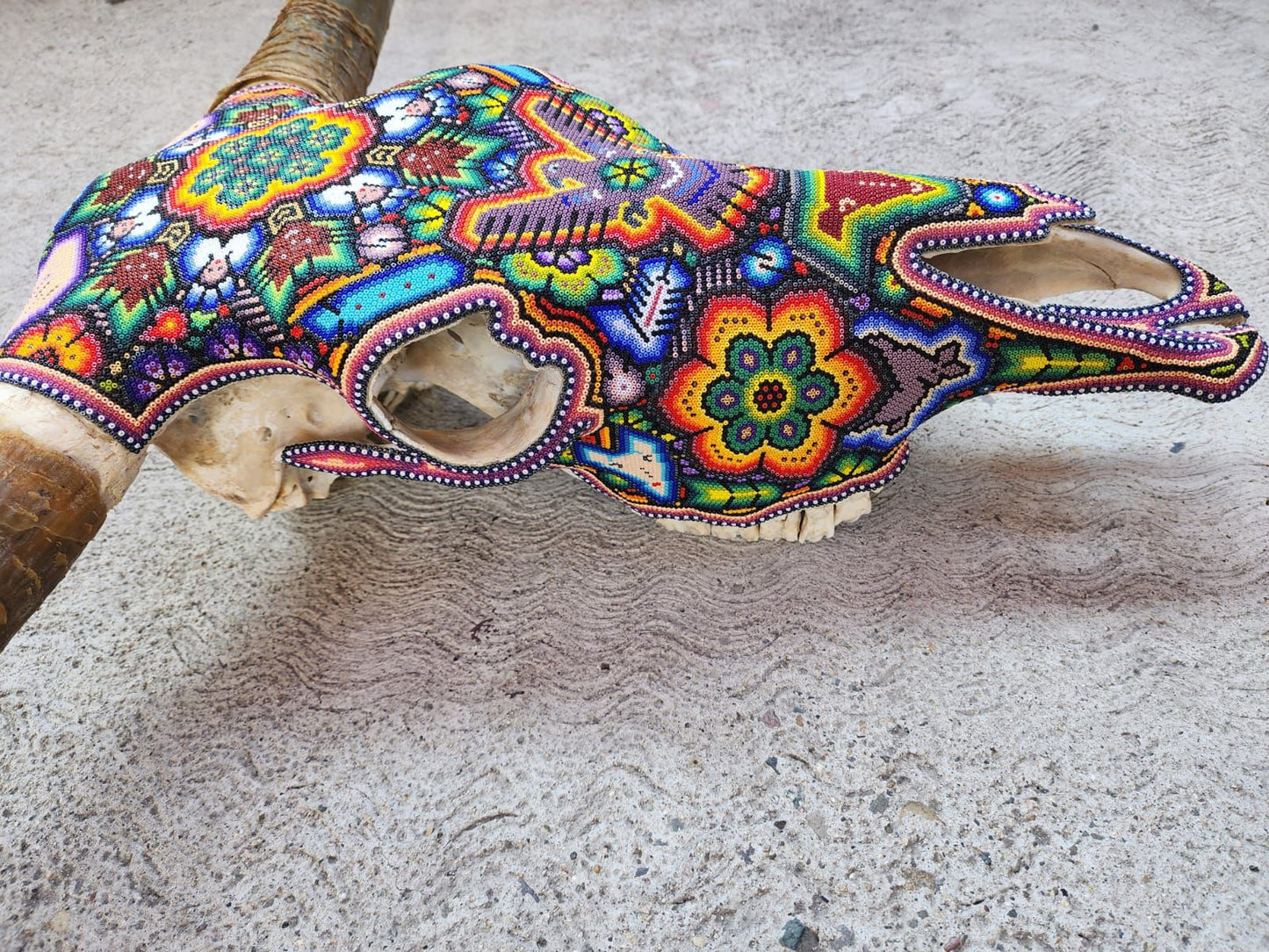 Hand Beaded Huichol Mexican Folk Art Bull Skull, By Isandro Villa Lopez PP7831