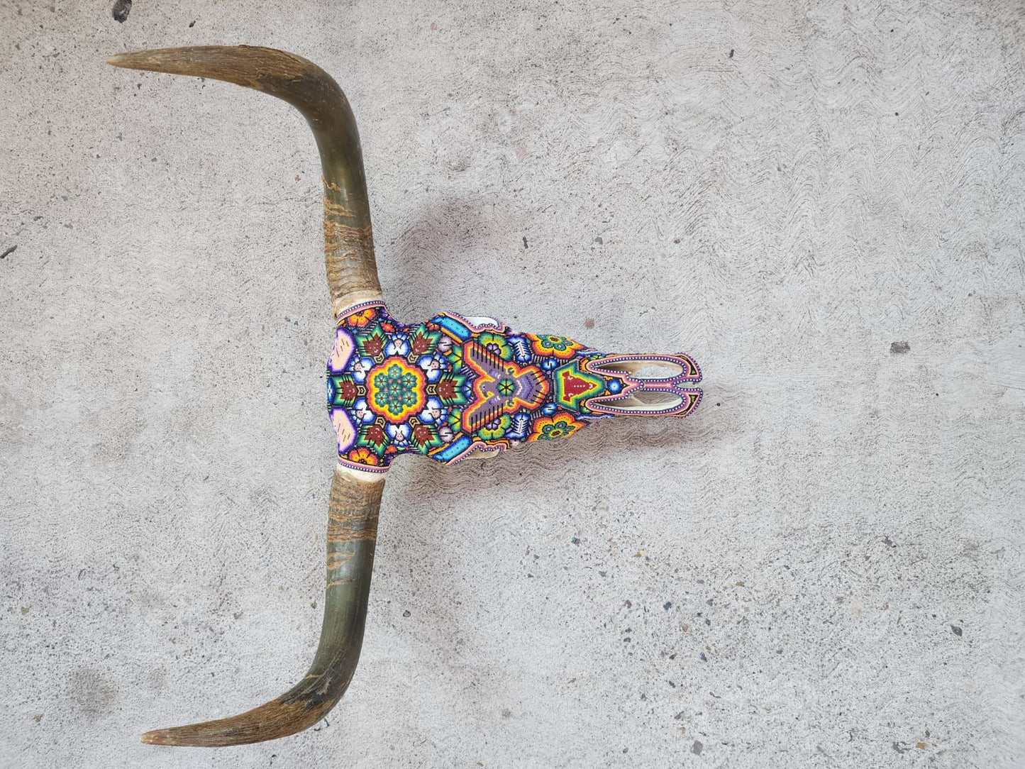 Hand Beaded Huichol Mexican Folk Art Bull Skull, By Isandro Villa Lopez PP7831