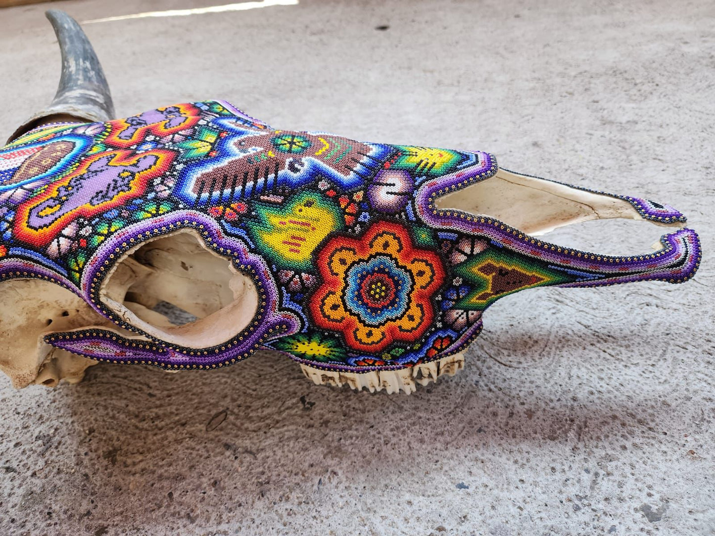Mexican Folk Art Huichol Hand Beaded Bull Skull By Isandro Villa Lopez PP7971