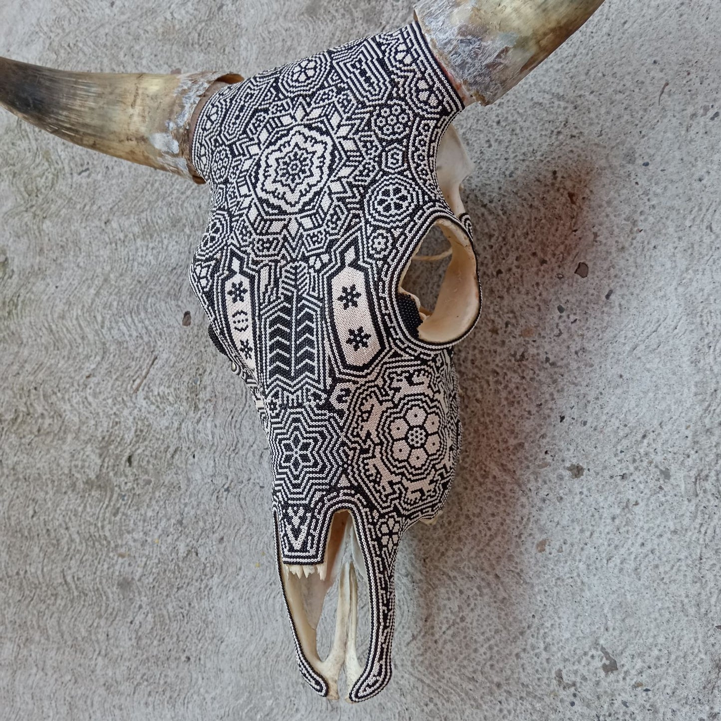 Huichol Bead Art Mexican Folk Art, Bull Skull By Mayola Villa Lopez PP8351