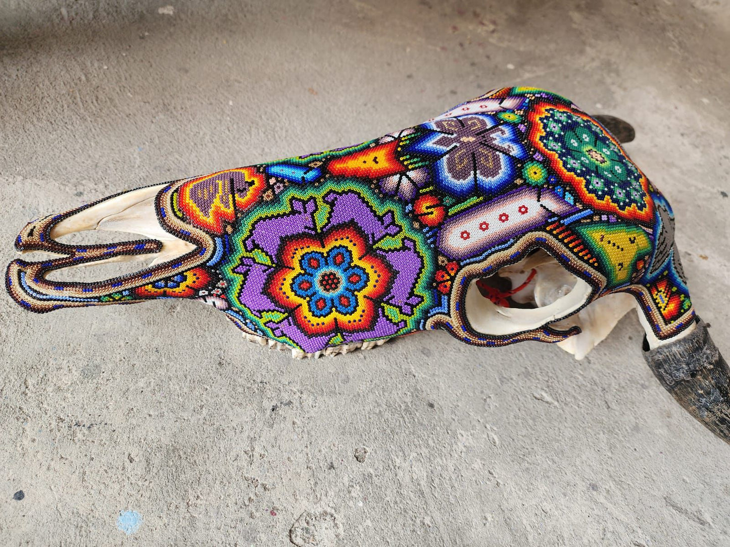 Mexican Folk Art Huichol Hand Beaded Bull Skull By Isandro Villa Lopez PP8354