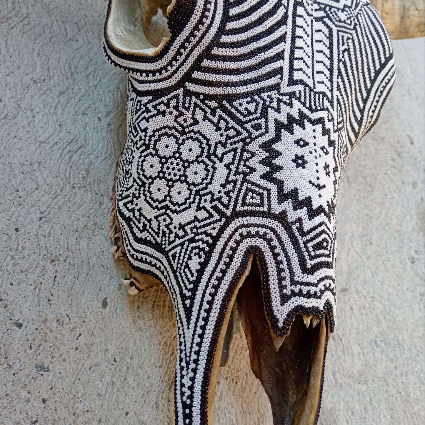 Huichol Bead Art Mexican Folk Art, Bull Skull By Mayola Villa Lopez PP8612 Oaxaca