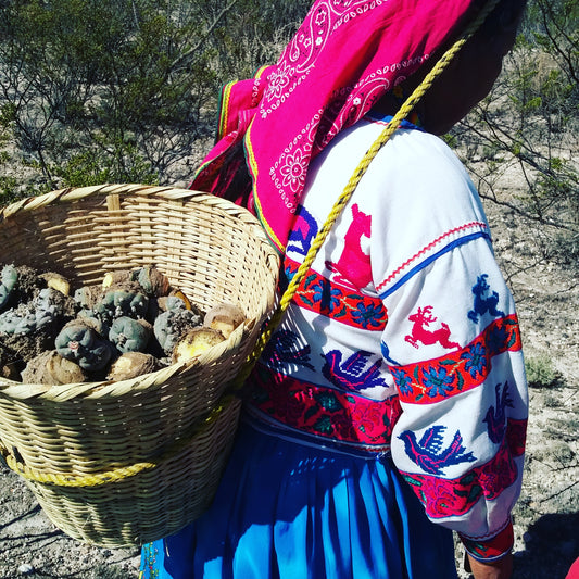 Peyote People. Un encuentro con la historia del pueblo Wixaritari.