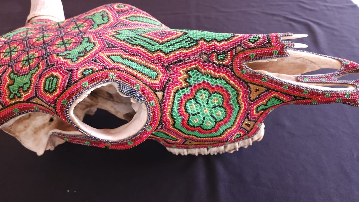 Huichol Beaded Bull Skull By Mayola Villa Lopez PP5833