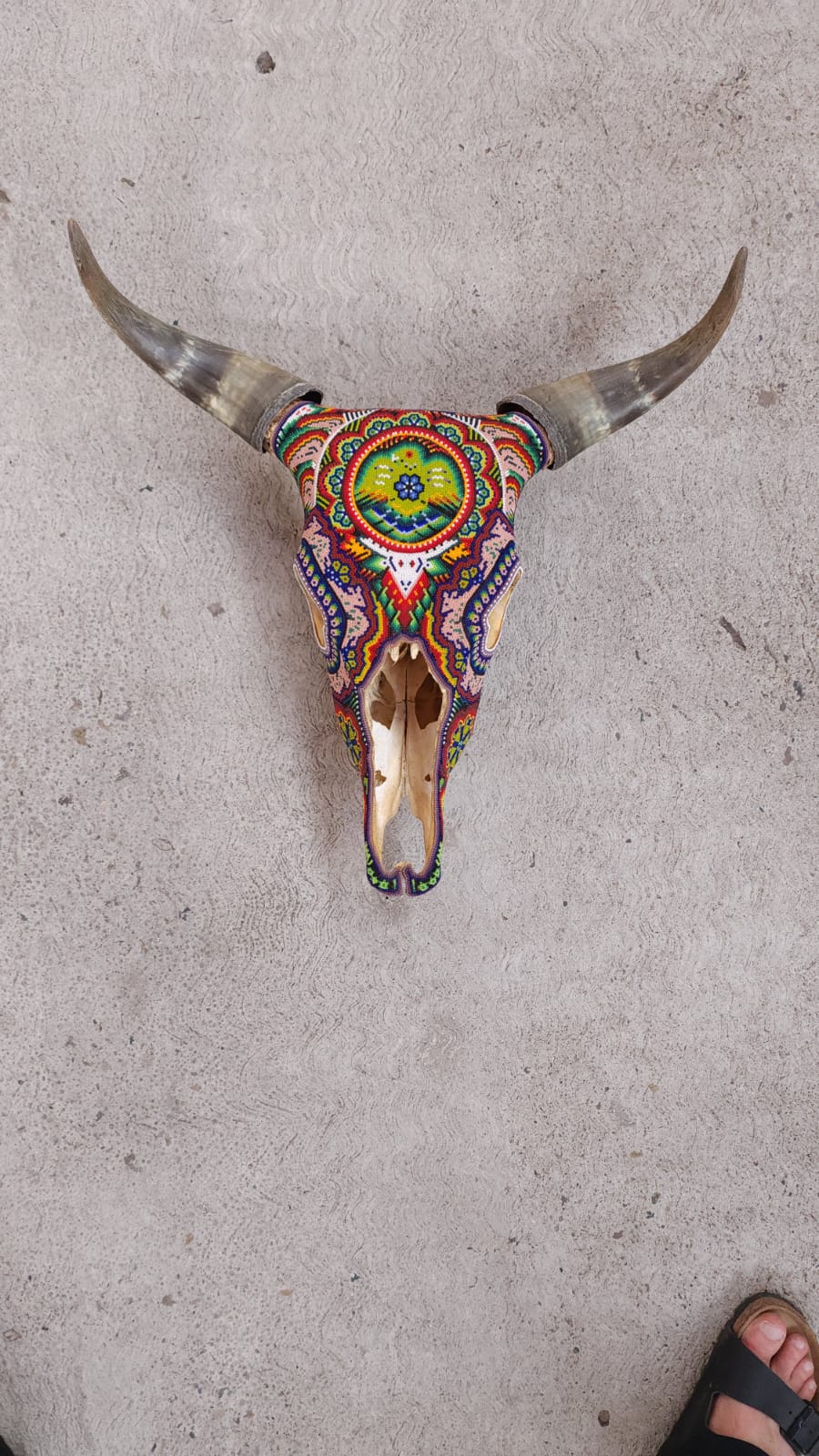 Huichol Mexican Folk Art Bull Skull by Florencio Lopez PP6544