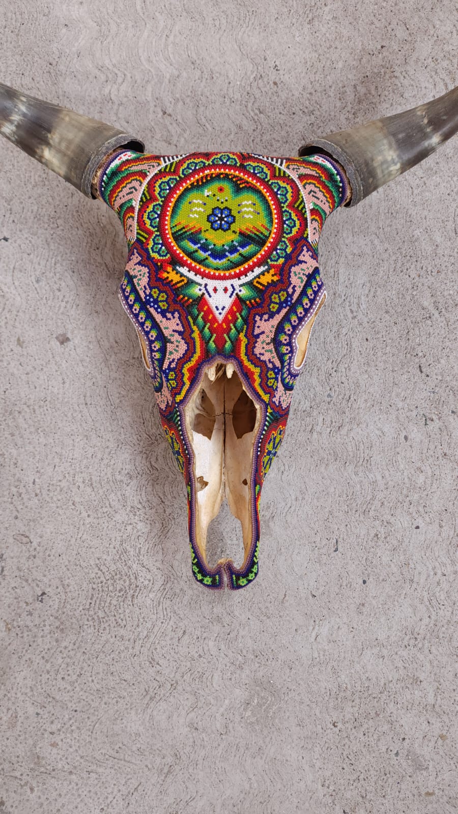 Huichol Mexican Folk Art Bull Skull by Florencio Lopez PP6544