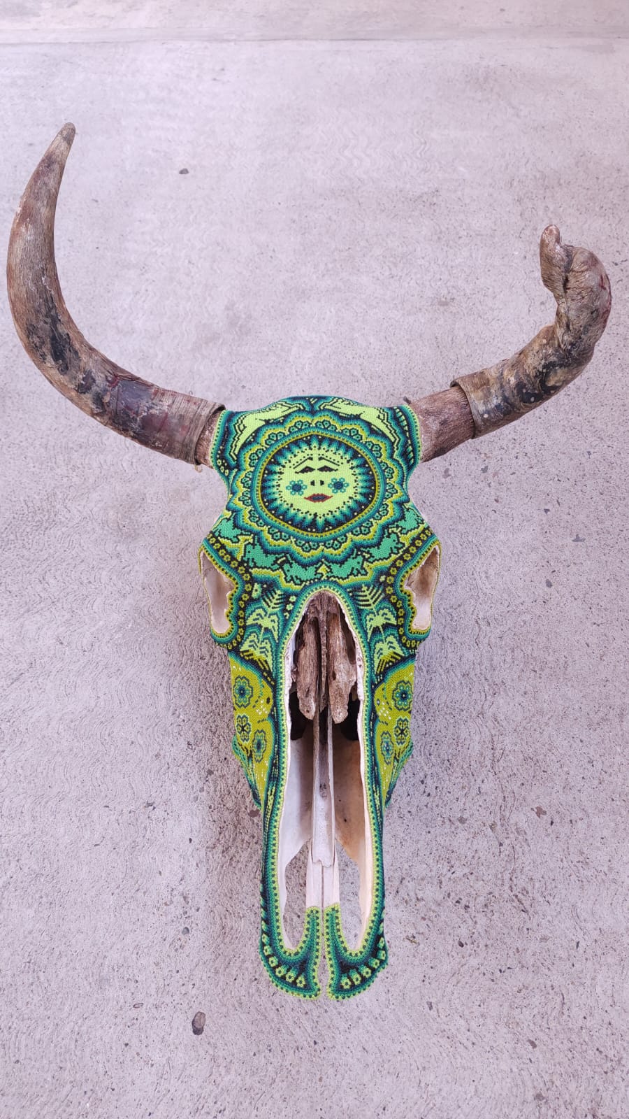 Huichol Mexican Folk Art Bull Skull by Florencio Lopez PP6545