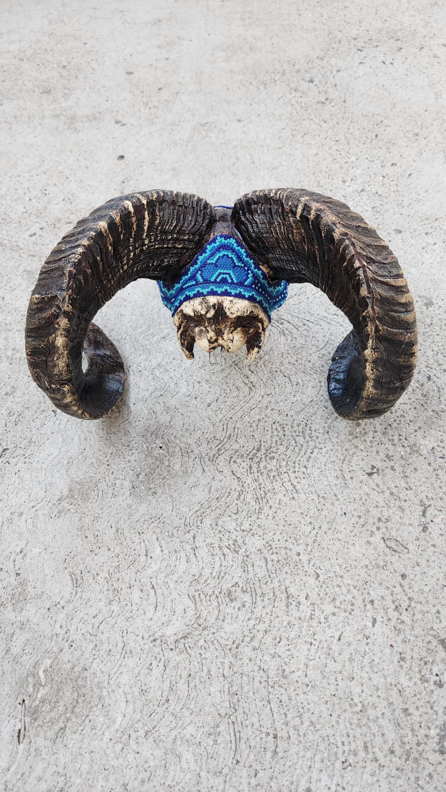 Ram Great Huichol Indian Hand Beaded Cast Resin Ram Skull By Morelia Villa PP6559