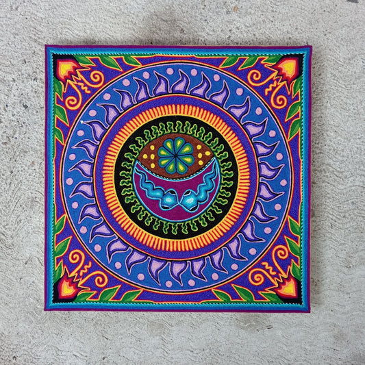 Mexican Folk Art Huichol Yarn Painting by Cooperativa Zitacua PP8432 Oaxaca