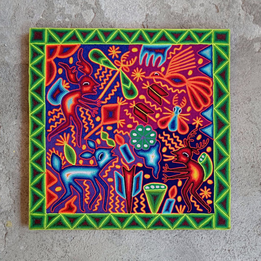 Mexican Folk Art Huichol Yarn Painting by Cooperativa Zitacua PP8562 Oaxaca