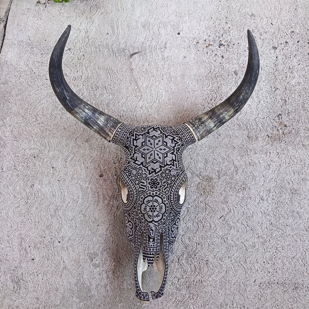 Huichol Indian Hand Beaded Bull Skull By Santos Bautista PP9515