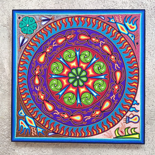 Huichol Yarn Painting Mexican Folk Art By Hilaria Chavez Carrillo PP9593