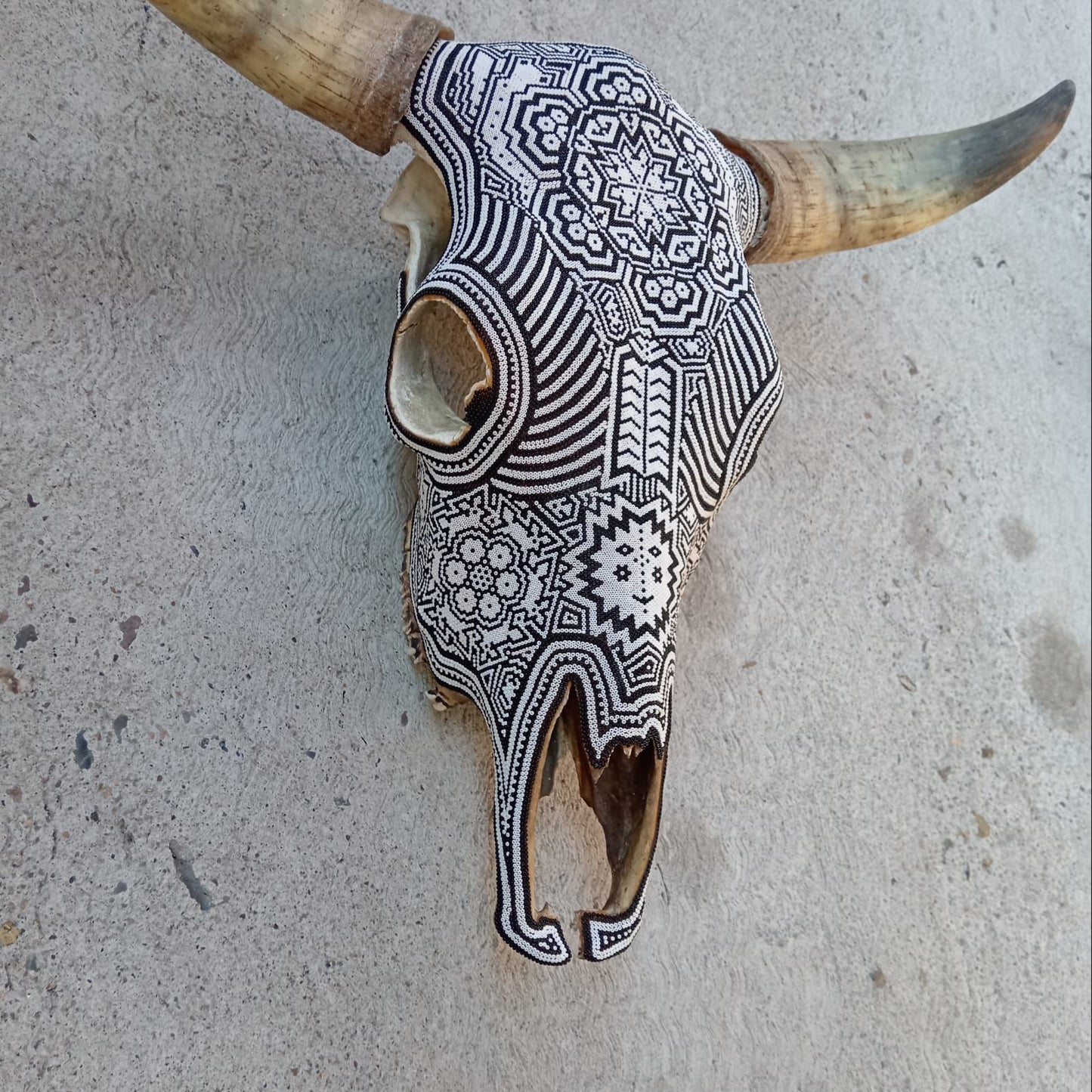 Huichol Bead Art Mexican Folk Art,  Bull Skull By Mayola Villa Lopez PP8612 Oaxaca