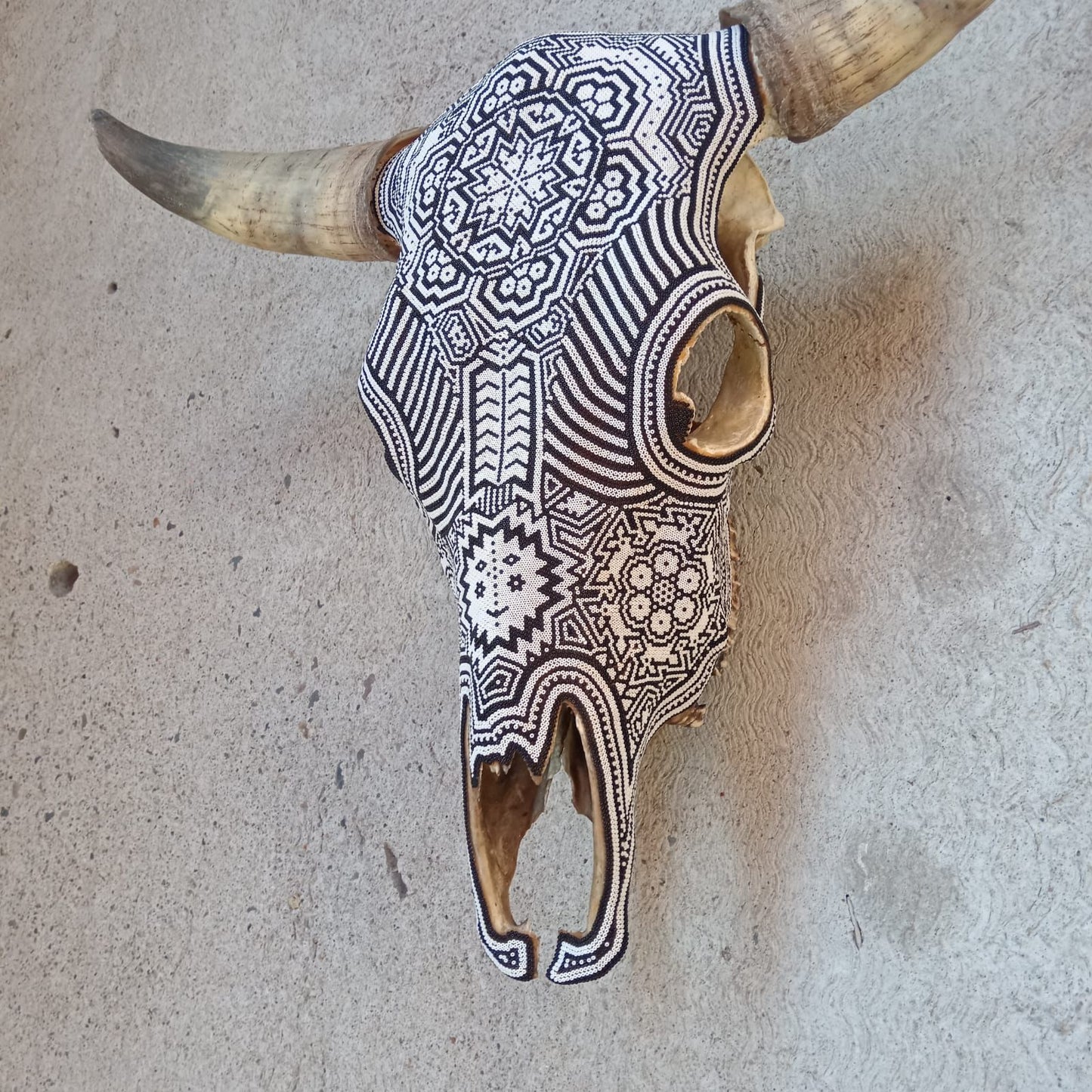 Huichol Bead Art Mexican Folk Art,  Bull Skull By Mayola Villa Lopez PP8612 Oaxaca