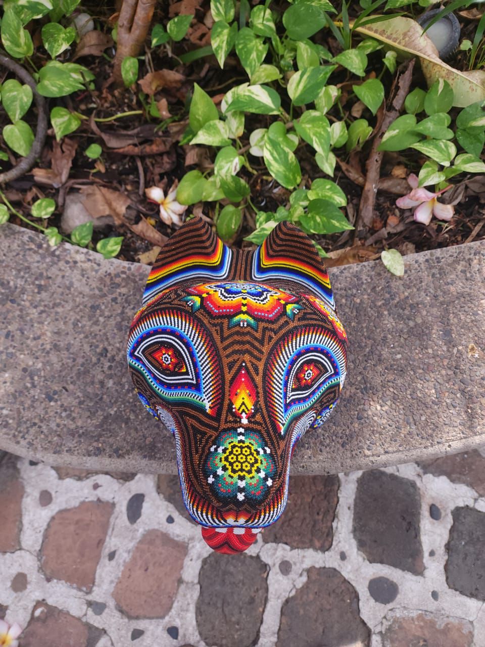 Mexican Huichol Hand Beaded Wolf Head By Santos Bautista PP8635 Oaxaca