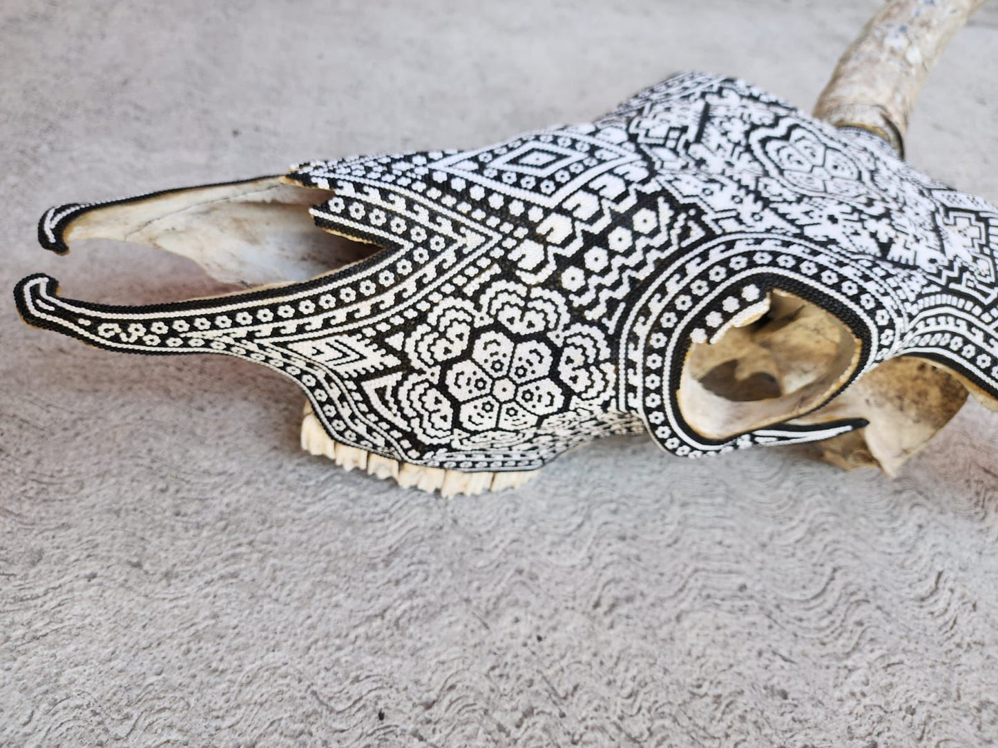 Huichol Indian Hand Beaded Bull Skull By Santos Bautista PP9044 Oaxaca