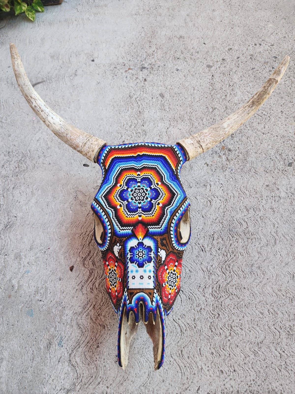 Huichol Indian Hand Beaded Bull Skull By Santos Bautista PP9045 Oaxaca