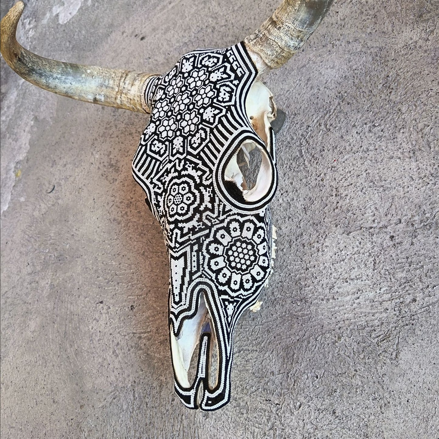 Huichol Bead Art Mexican Folk Art, Bull Skull By Mayola Villa Lopez PP9187
