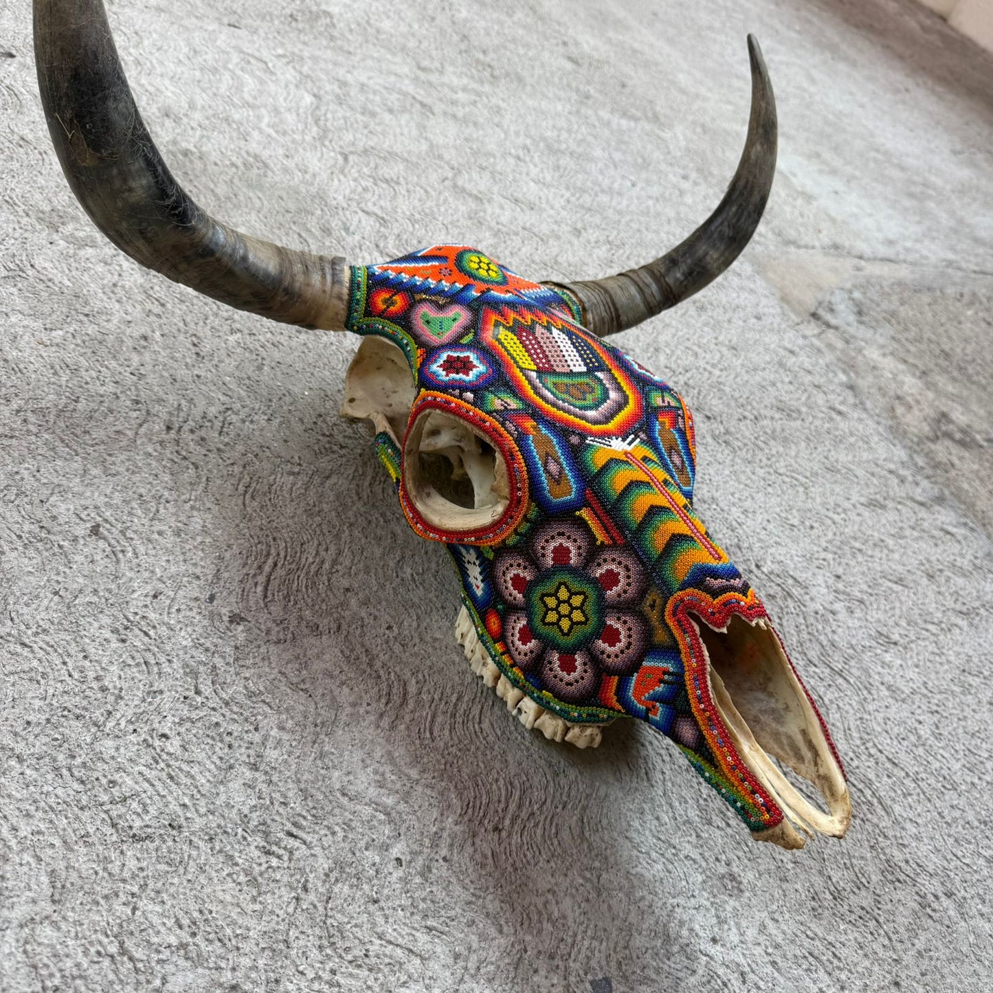 Huichol Indian Hand Beaded Mexican Folk Art Bull Skull By Honorio Villa Lopez PP9262