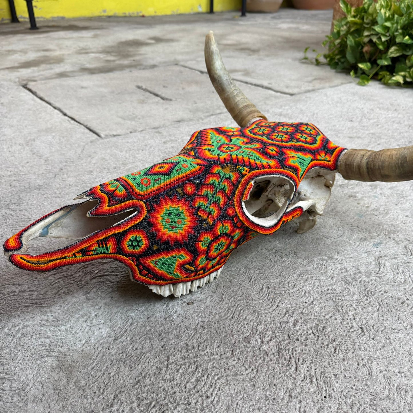 Huichol Indian Hand Beaded Mexican Folk Art Bull Skull By Honorio Villa Lopez PP9264