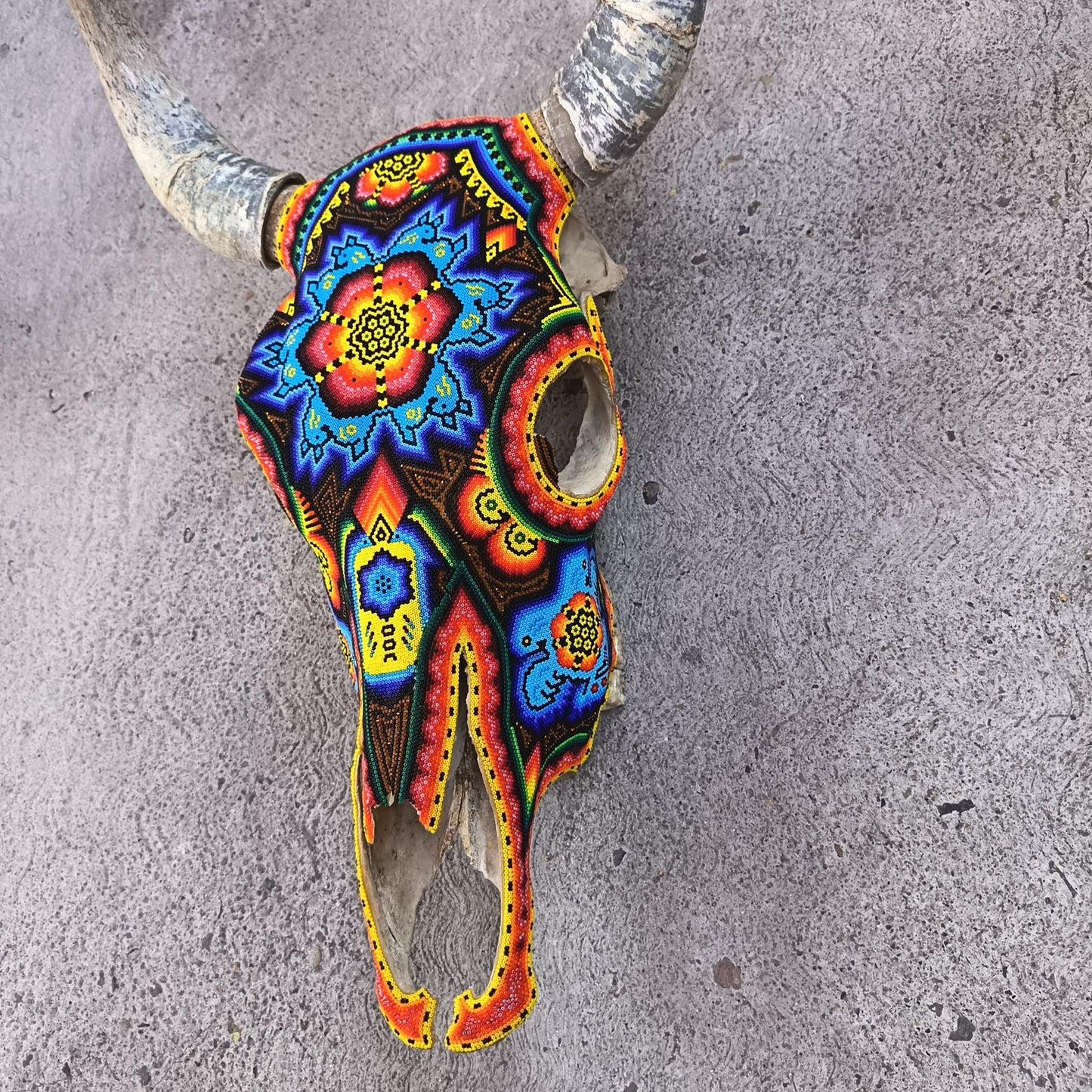 Huichol Indian Hand Beaded Bull Skull By Santos Bautista PP9346