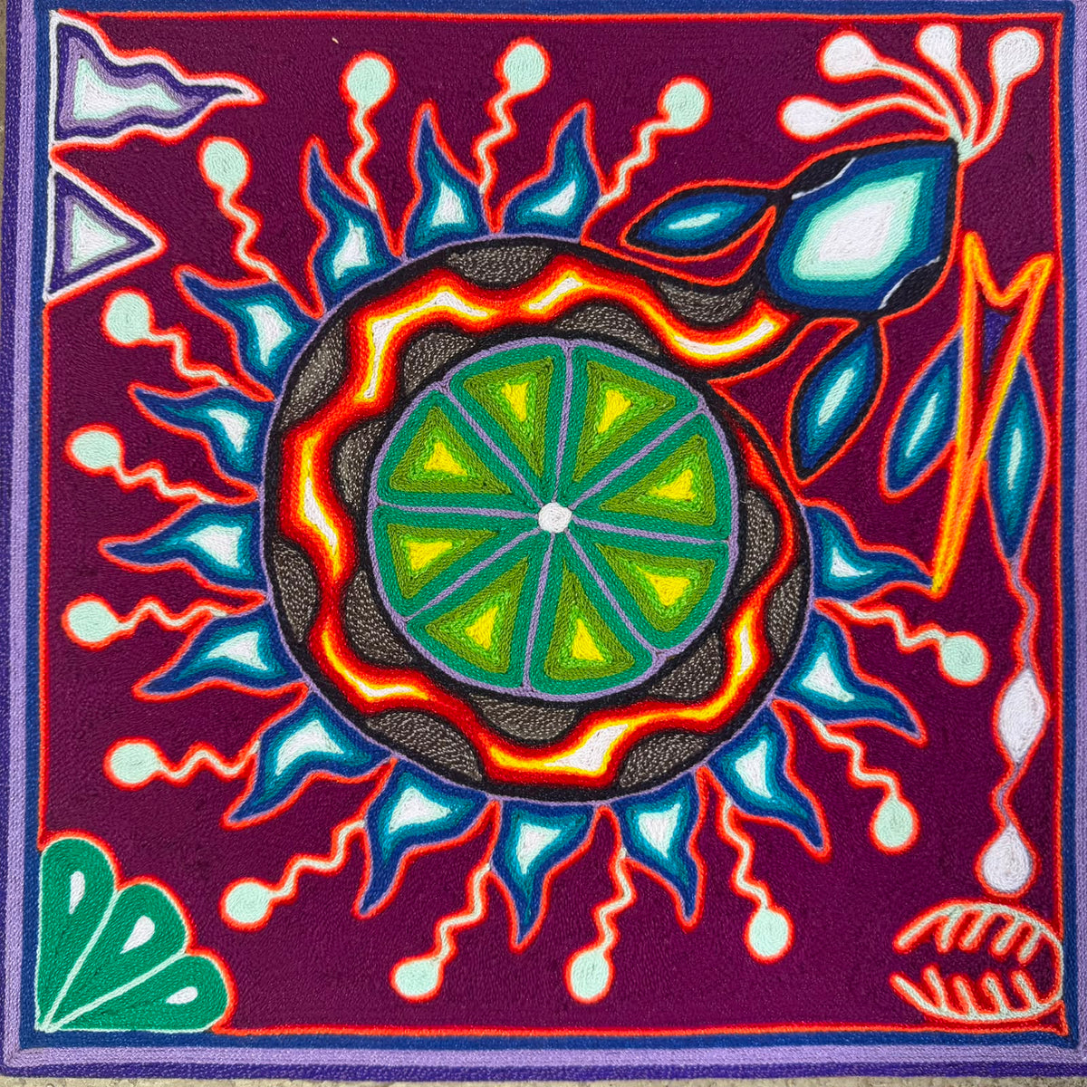 Mexican Folk Art Huichol Yarn Painting by Cooperativa Zitacua PP9554 Oaxaca