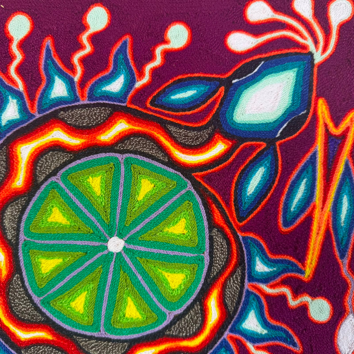 Mexican Folk Art Huichol Yarn Painting by Cooperativa Zitacua PP9554 Oaxaca