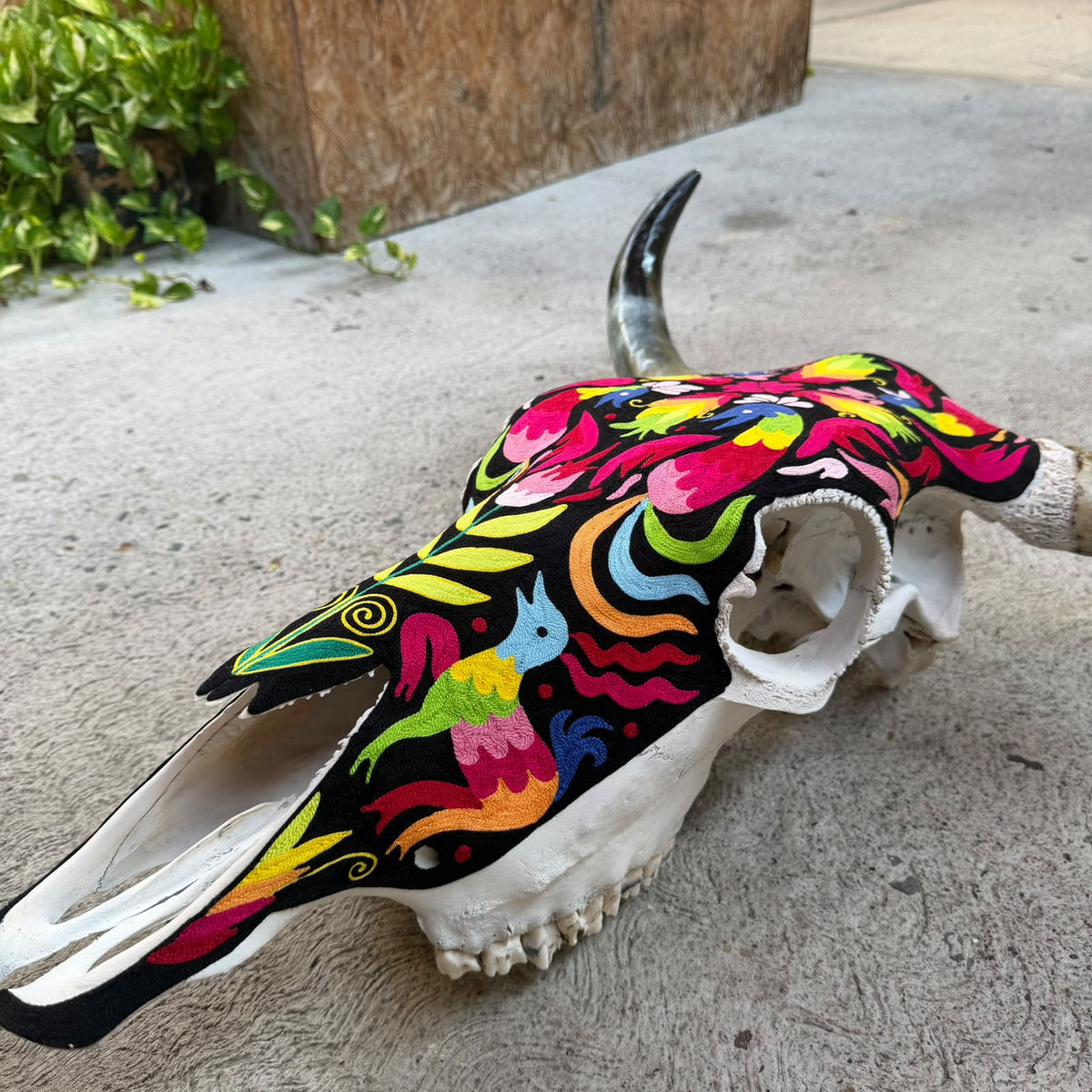Mexican Folk Art Huichol Yarn Painting on Bull Skull By Alfredo Meraz Reyna PP9604