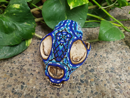 Huichol Hand Beaded WildCat Skull By Carlos Bautista PP097